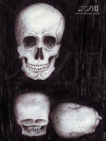 skull_sketch_oruio
