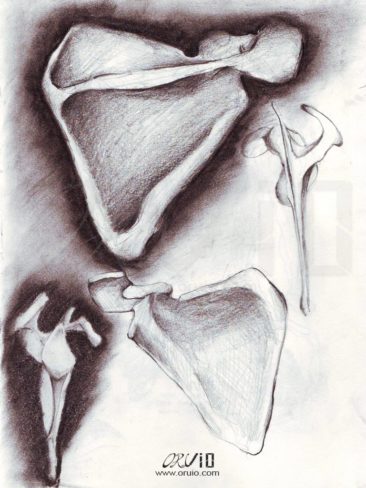 sketching_skull_oruio