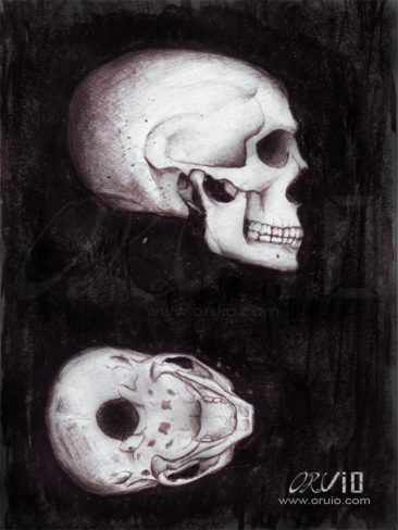 skull_art_oruio